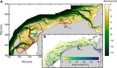 Adaptation timescales of estuarine systems to human interventions